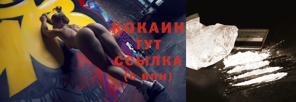 индика Нефтекумск