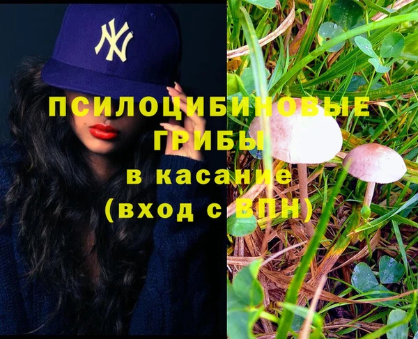прущие крисы Валуйки