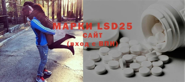 индика Нефтекумск