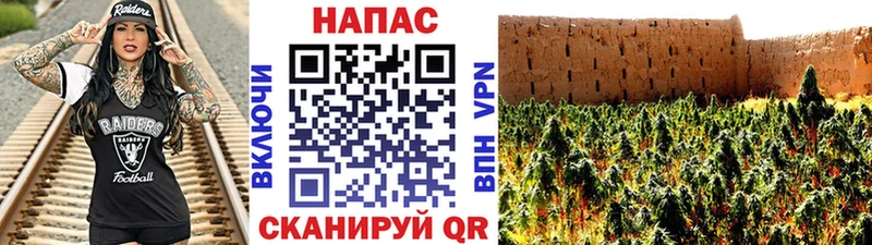 ссылка на мегу ссылка  купить закладку  Людиново  Шишки марихуана тримм 
